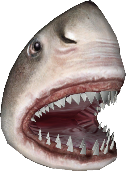 Download Zip Archive - Great White Shark (750x650), Png Download
