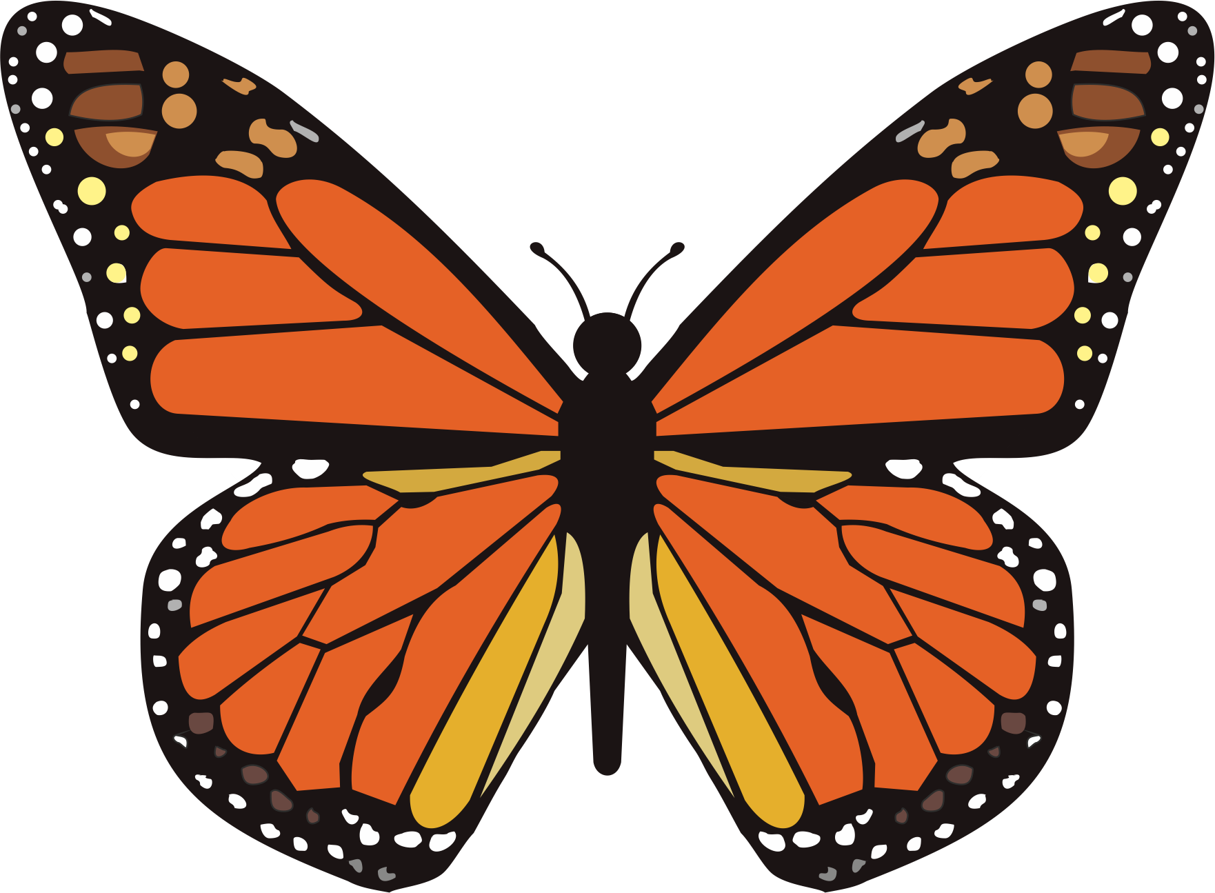 Monarch Butterfly (1762x1295), Png Download