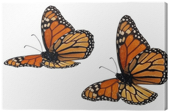 Monarch Butterfly (400x400), Png Download