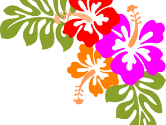 Flowers Vectors Clipart Hawaiian - Hibiscus Clip Art (640x480), Png Download