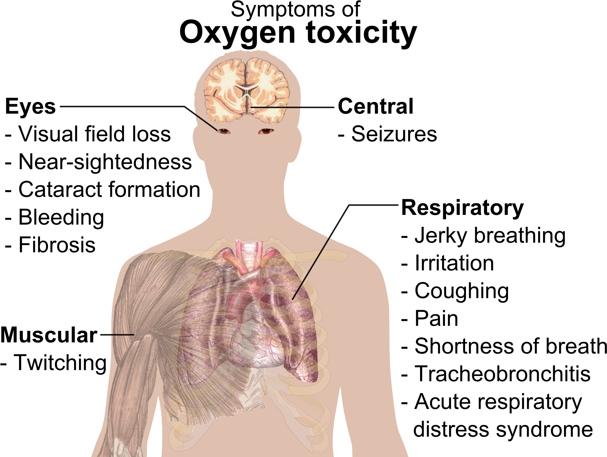 Symptoms Of Oxygen Toxicity - Oxygen Overdose (2067x1562), Png Download