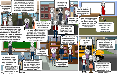 Steps Of Breathing Process - Heart (450x283), Png Download