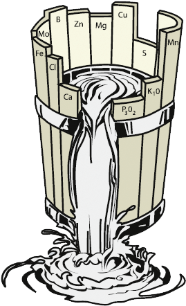 Justus Von Liebig, Generally Credited As The "father - Liebig's Law Of The Minimum (347x454), Png Download