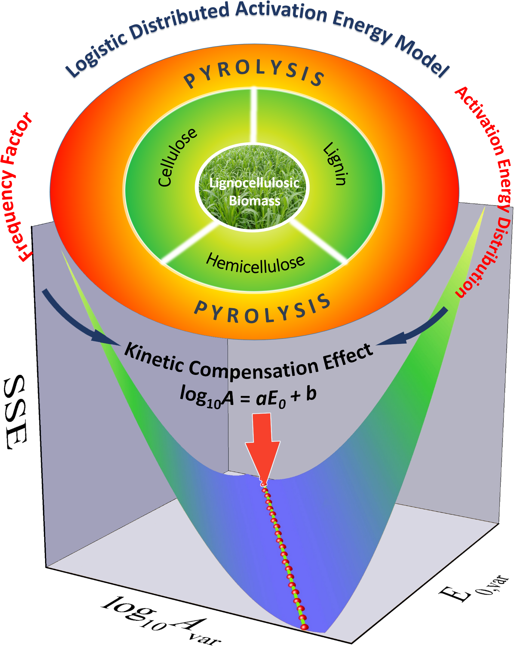 Junmeng Cai Gave A Presentation About Lignocellulose - Shanghai Jiao Tong University (1806x2172), Png Download