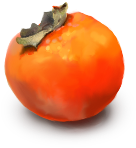 Persimmon Png Picture - Persimmons Png (500x482), Png Download
