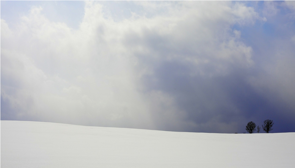 Score 50% - Snow (1000x1000), Png Download