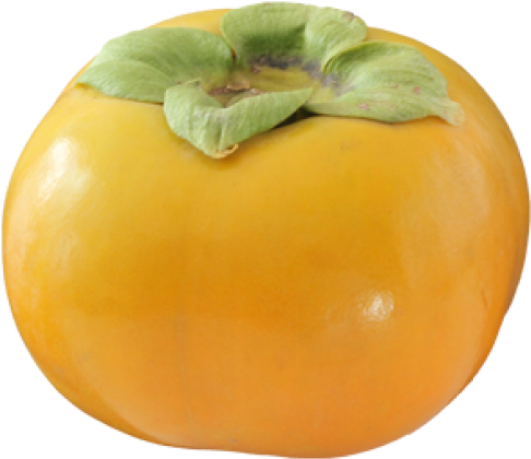 Persimmon Png Free Download - Persimmon Png (600x471), Png Download
