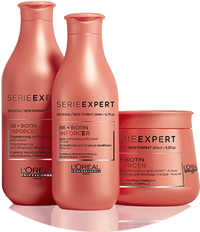 Anti-breakage - Loreal Serie Expert Inforcer Png (440x360), Png Download