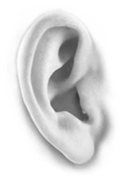 Hearing Doctors - Tongue (469x707), Png Download