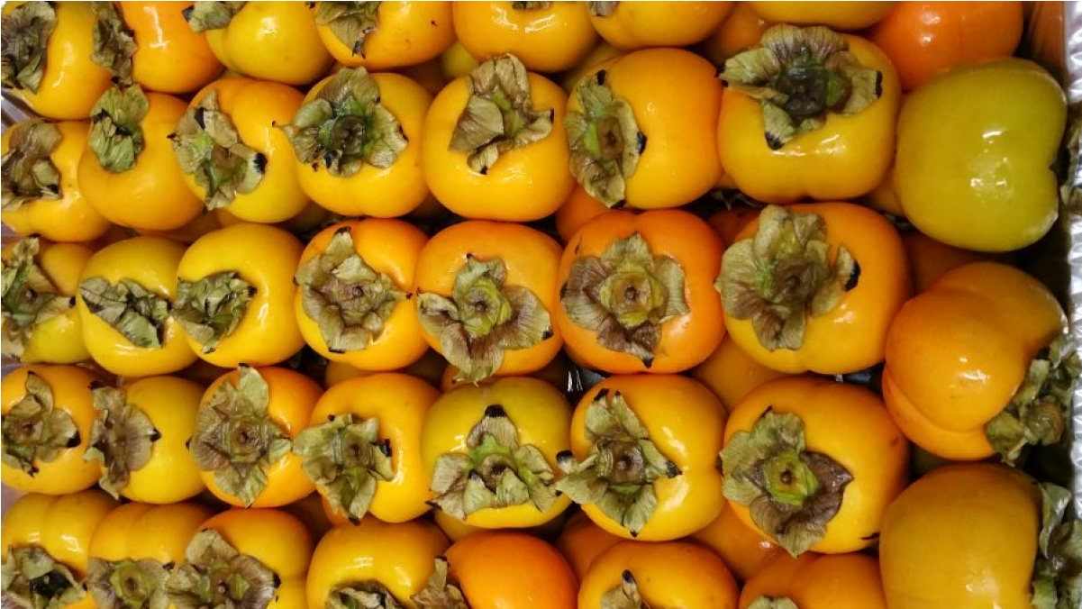 More Views - Gourd (1200x1200), Png Download