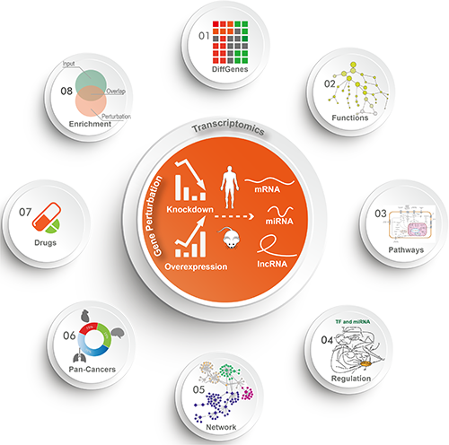 Quick Search, Start Typing Keywords, Press Esc To Close - Grading In Education (500x496), Png Download