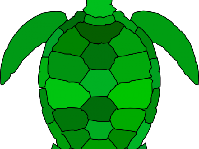 Sea Turtle Clip Art (640x480), Png Download