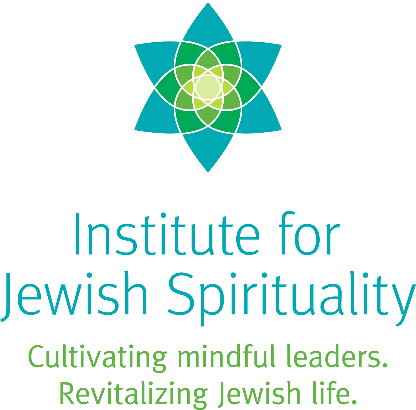 Ijs Logotag2c Rgb - First Frcr Anatomy Examination Revision (1442x1424), Png Download