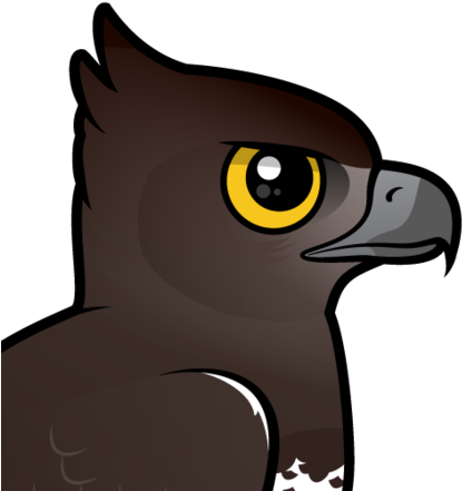 About The Martial Eagle - Martial Eagle (440x440), Png Download