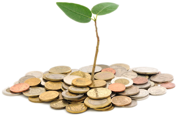 36,000 Worth Of Dogecoin Was Donated And The Dogecoin - Fund Raising (948x470), Png Download