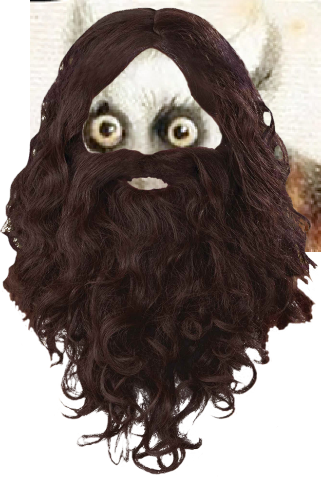 Post - Lace Wig (659x982), Png Download