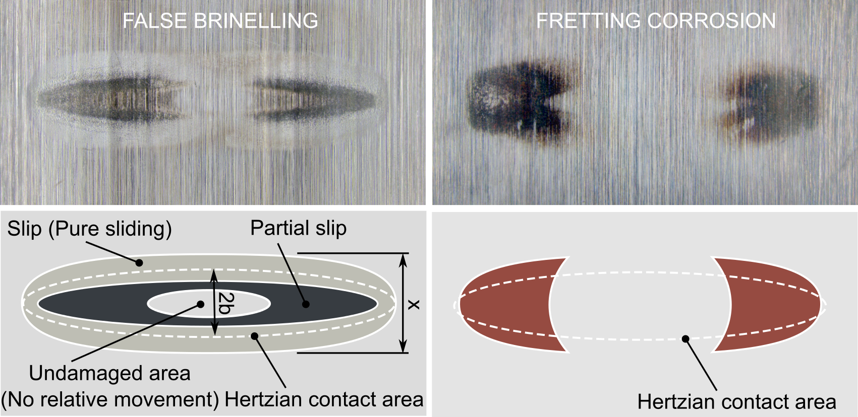 Fretting And Falsebrinelling Schwack Byckov - Fretting Corrosion (1701x828), Png Download