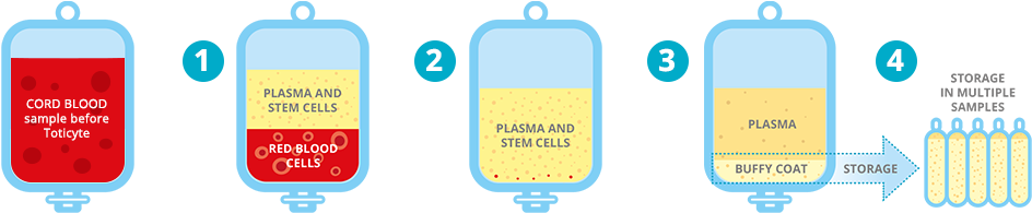 1) Toticyte Causes The Red Blood Cells To Sediment, - Blood Bag Buffy Coat (990x200), Png Download