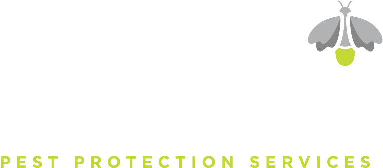 Firefly Pest Control - Pest (900x900), Png Download