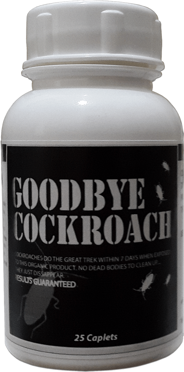 Goodbye Cockroach Bottle - Cross On Mount Gorbea (595x1200), Png Download