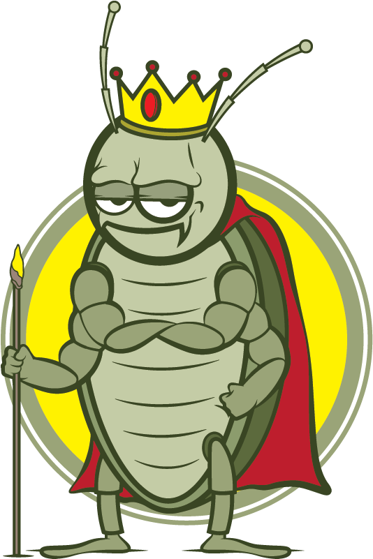 Roaches - King Bugs Pest Control, Corp. (542x800), Png Download