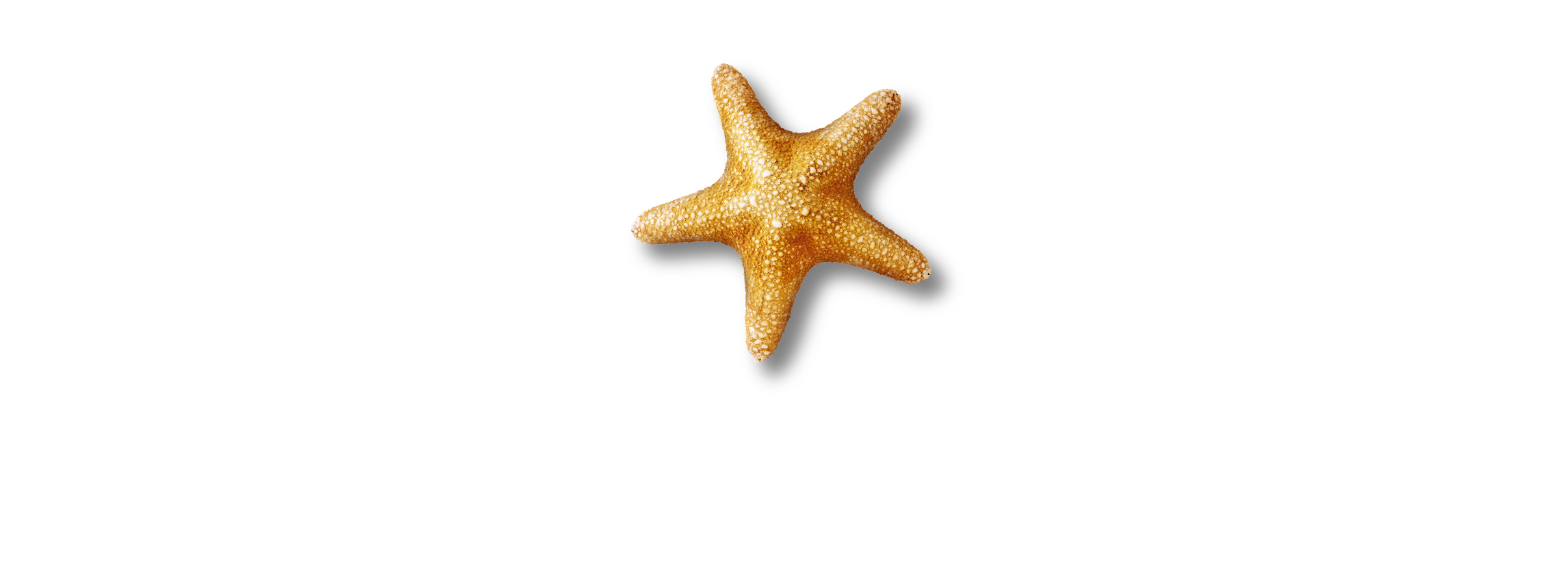 Sea Life London - Minnesota Sea Life Aquarium Logo (2294x923), Png Download