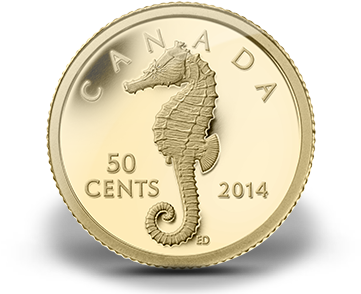 Flash 50 Cent Gold Coin Full Size Png Download Seekpng