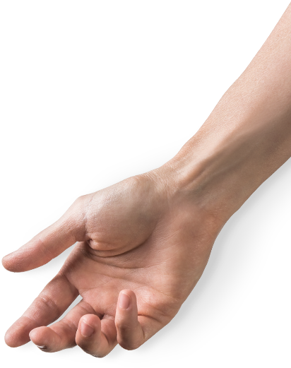 Our Philosophy - Portable Network Graphics (411x672), Png Download