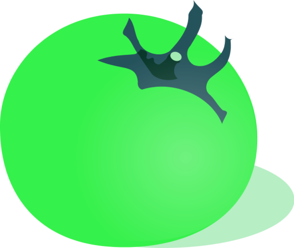 Tomato Vector Clip Art - Green Tomatoes Clipart Png (600x507), Png Download