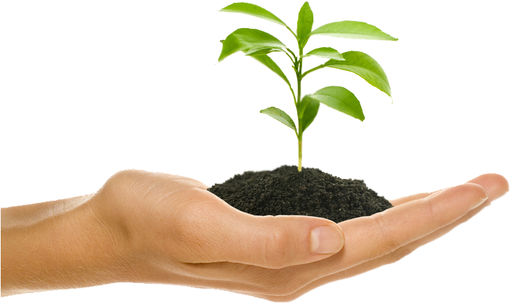 Our Approaches For Client Requirement, By Giving Innovative - Gif Agro (764x628), Png Download