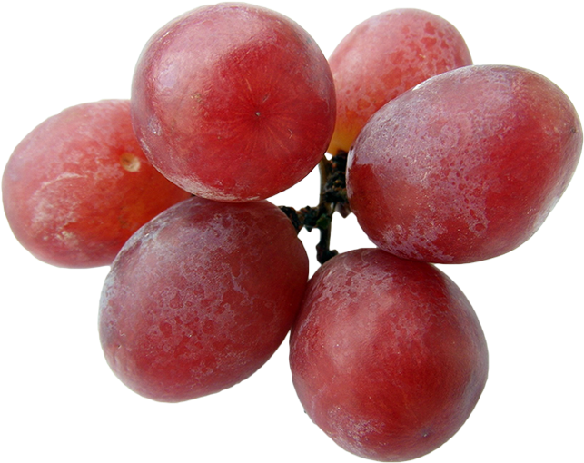 Grapes - Grape (700x600), Png Download
