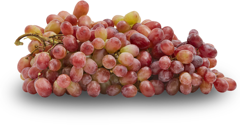 Grapes - Grape (793x500), Png Download