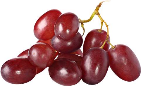 Salamanca Fresh - Revidox Stilvid 84% Resveratrol Antiox 60 Capsules. (500x500), Png Download