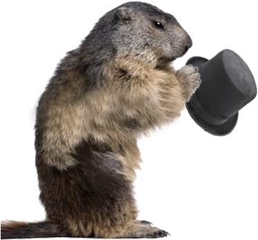 Groundhog Png Hd - Groundhog Day Png (400x400), Png Download