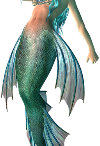Mermaid Png Transparent Images - Mermaid (640x480), Png Download