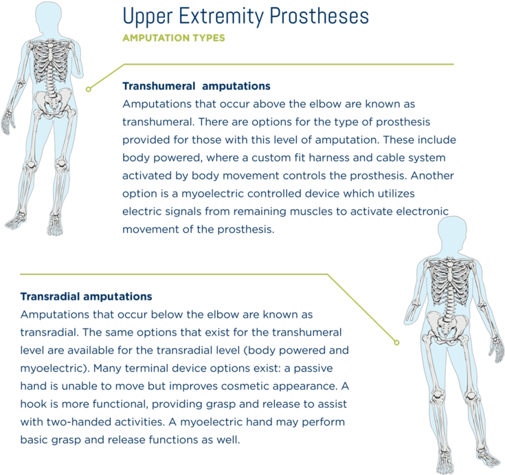 Teaming With Innovative Component Manufacturers, We - Plaza De San Marcos (750x716), Png Download