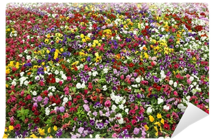 Colorful Flower Carpet In Park - Carpet (400x400), Png Download