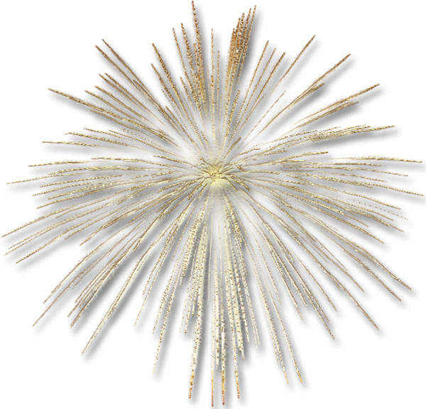 Feux D'artifices - Gold Fireworks Transparent Background (600x576), Png Download