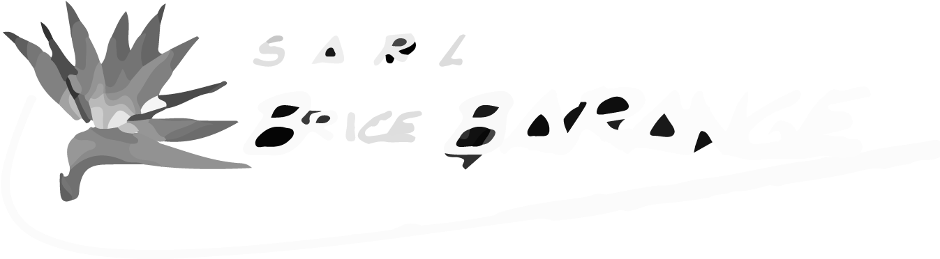 Logo Brice Barange Feu D'artifice Lyon - Emblem (1346x404), Png Download