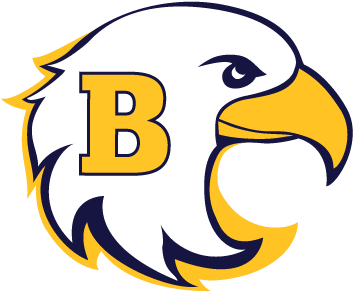 Barrington High - Barrington High School Eagles (400x400), Png Download