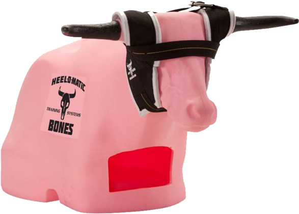 Pink Bull Roping - Heel O Matic Bones (600x454), Png Download