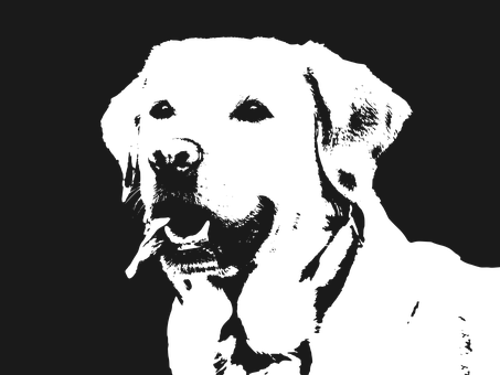 Labrador Dog Retriever Animal Pet Happy Cu - Cute Labrador Dog Vector (453x340), Png Download