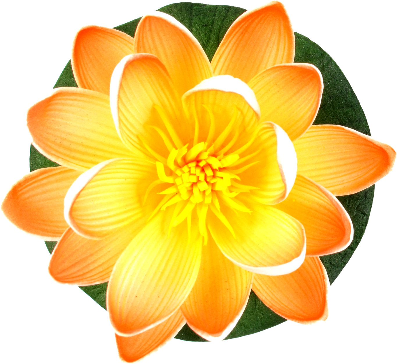 Beautiful Lily Flower Png Images Download Free - Lily (1600x1600), Png Download