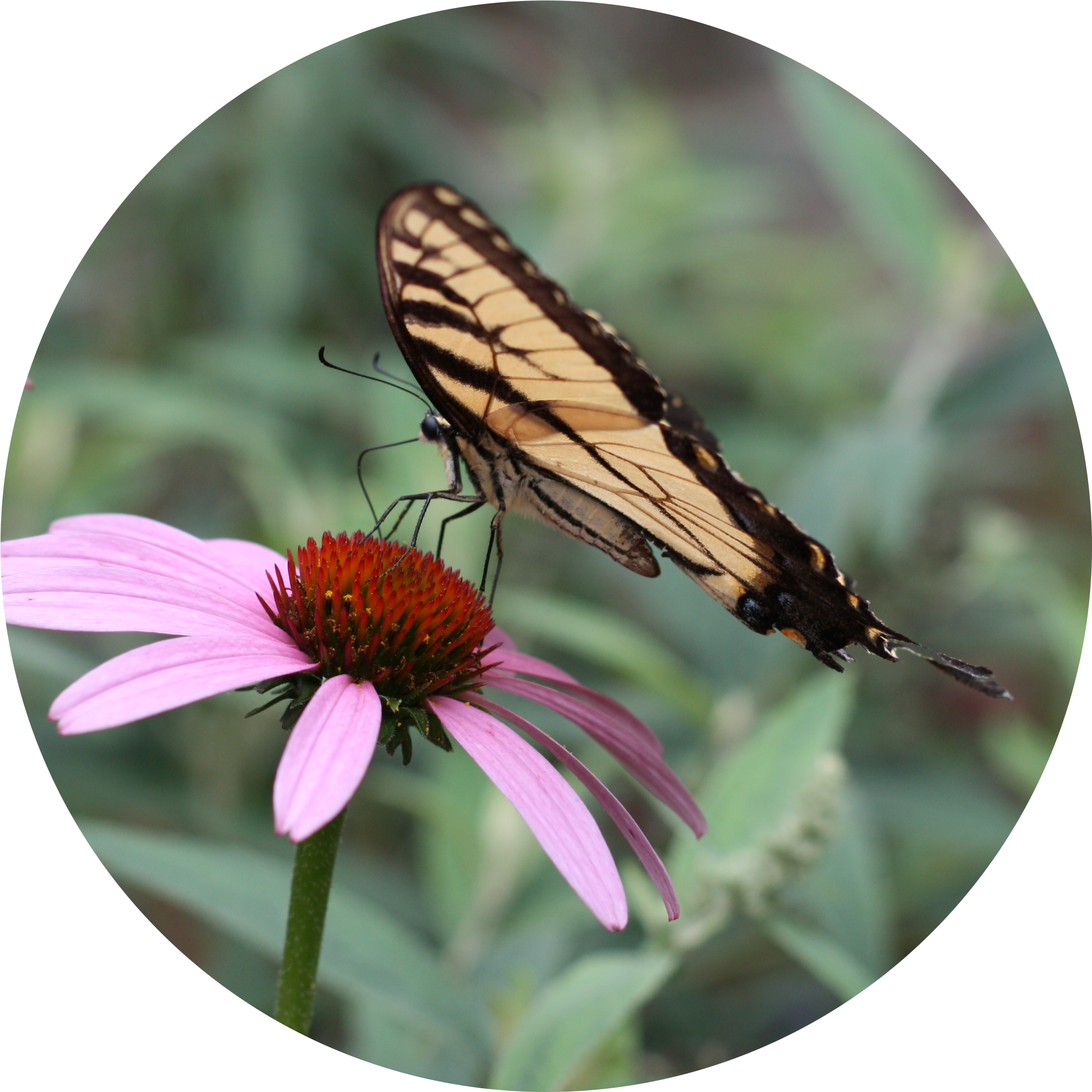 Contact (2327x2327), Png Download