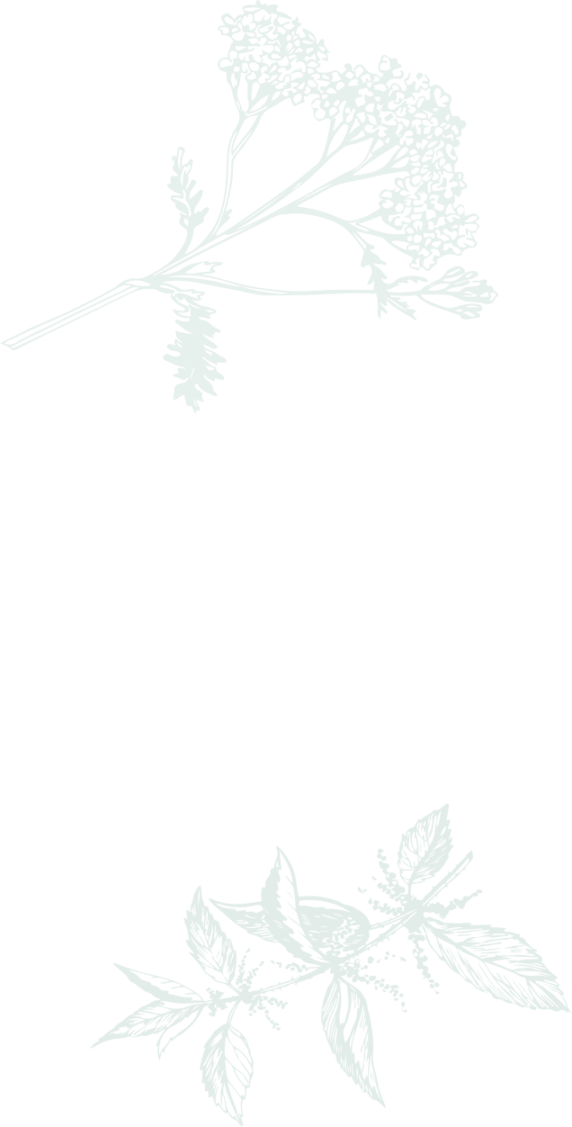 Versatile Timeless Designs - Sketch (636x1252), Png Download