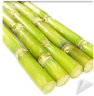 Sugarcane Cliparts (400x400), Png Download