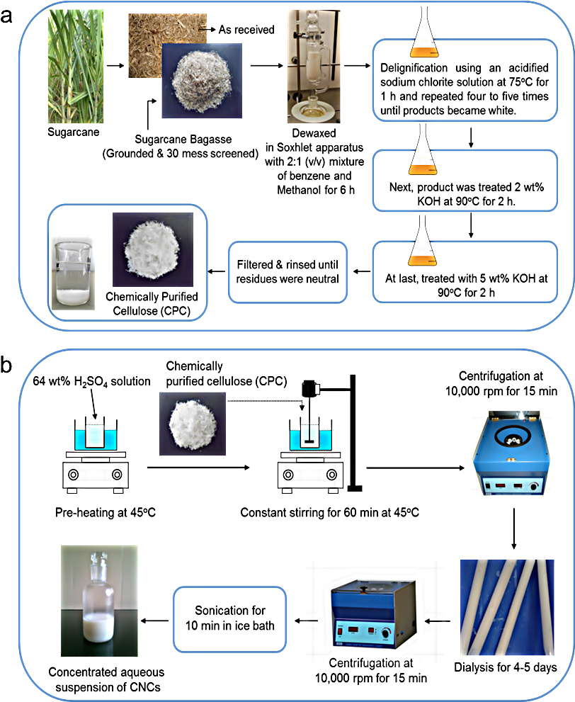 Schematic Representation Of Chemical Treatments - Extraction Of Cellulose Nanocrystals (833x1003), Png Download
