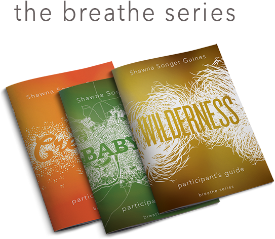 Skip To The Beginning Of The Images Gallery - Breathe: Wilderness: Workbook [book] (550x503), Png Download