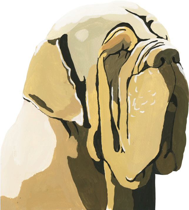 Ongoing Project - Olde English Bulldogge (727x1000), Png Download