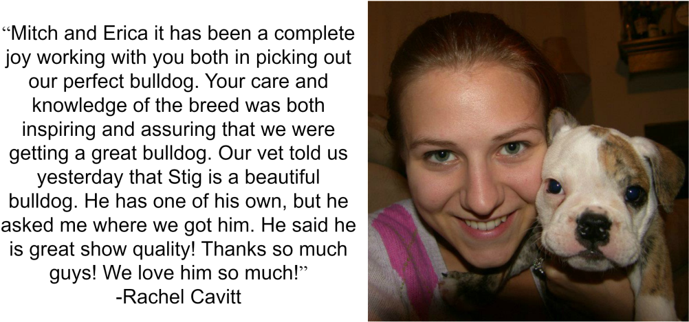 Most Of Our Bulldogs Will Go Home Right Around The - Rachel (1024x484), Png Download